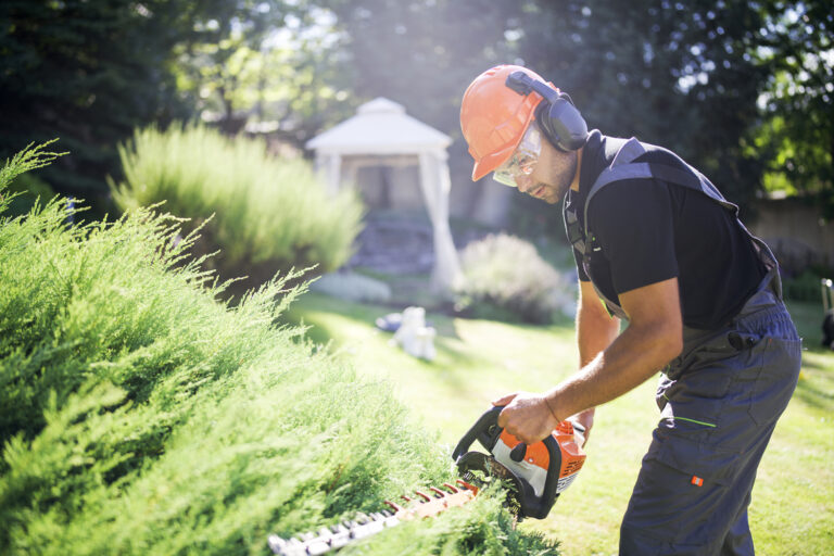 Prestation de jardinage à domicile