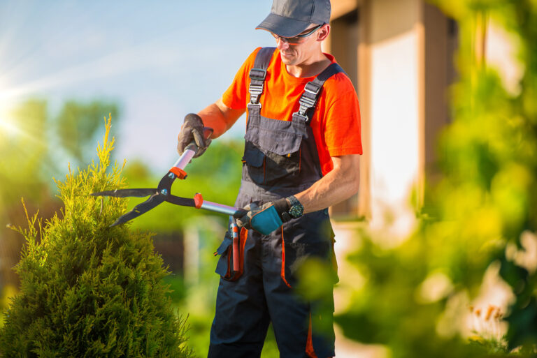 Prestation de jardinage à domicile